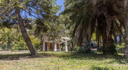 Casale 21 locali di 600 m² in Senigallia (60019)