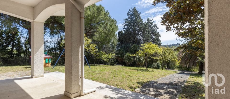 Casale 21 locali di 600 m² in Senigallia (60019)
