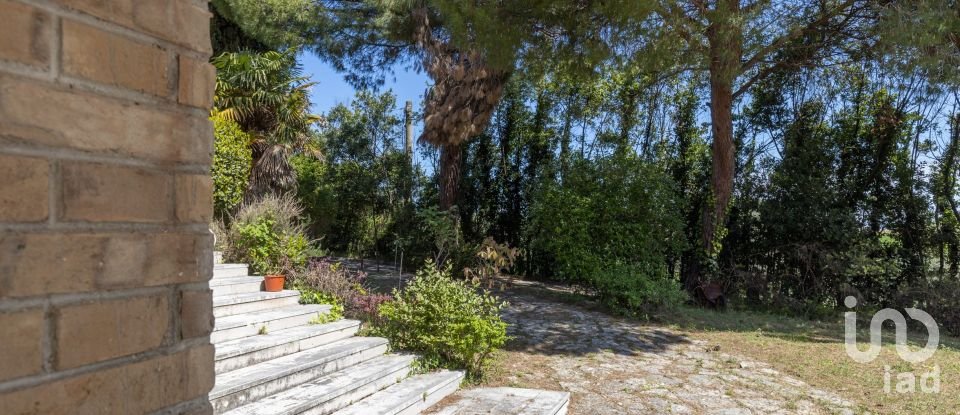 Casale 21 locali di 600 m² in Senigallia (60019)