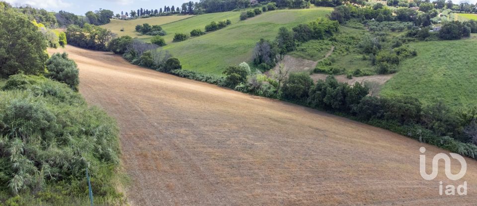 Land of 34,901 m² in Osimo (60027)