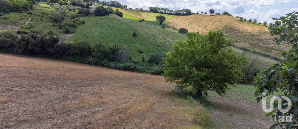 Land of 34,901 m² in Osimo (60027)