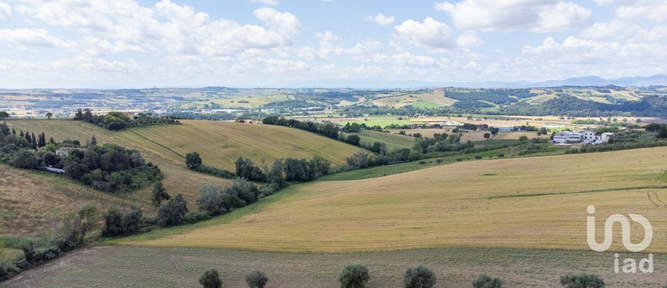 Terreno di 34.901 m² in Osimo (60027)