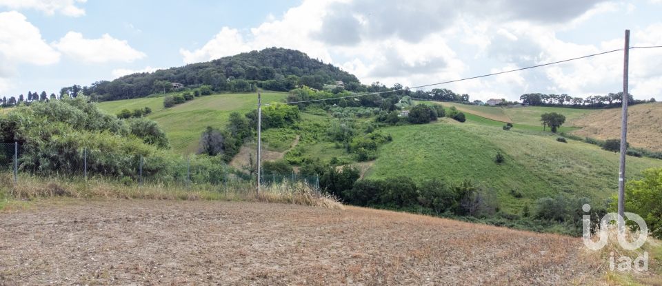Terreno di 34.901 m² in Osimo (60027)