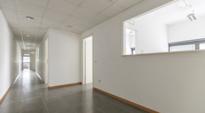 Laboratorio di 142 m² in Ancona (60131)