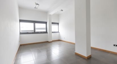 Laboratorio di 142 m² in Ancona (60131)