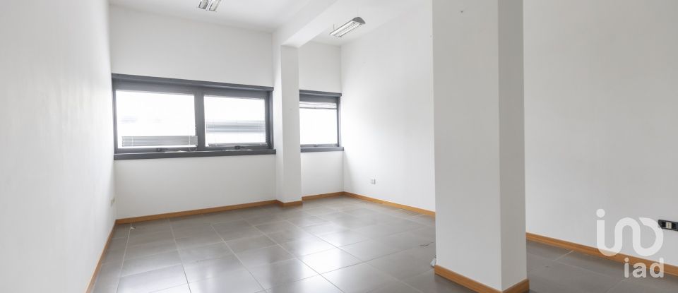 Laboratorio di 142 m² in Ancona (60131)