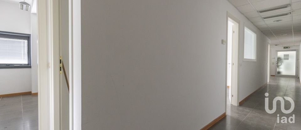 Laboratorio di 142 m² in Ancona (60131)