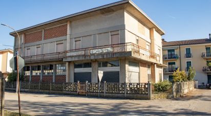 Casa indipendente 20 locali di 600 m² in Nogara (37054)