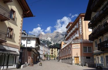 Land 2 rooms of 20 m² in Cortina d'Ampezzo (32043)