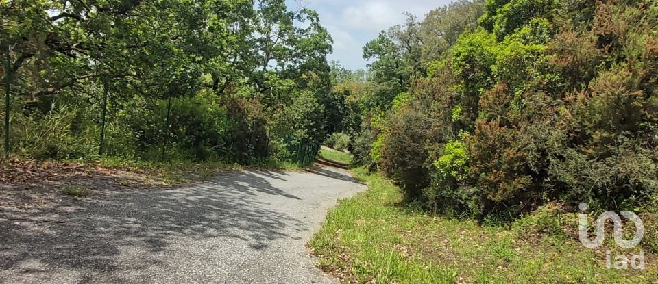 Casale 15 locali di 450 m² in Lamezia Terme (88046)