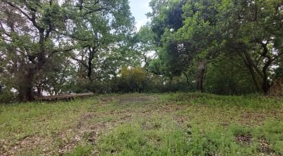 Casale 15 locali di 450 m² in Lamezia Terme (88046)