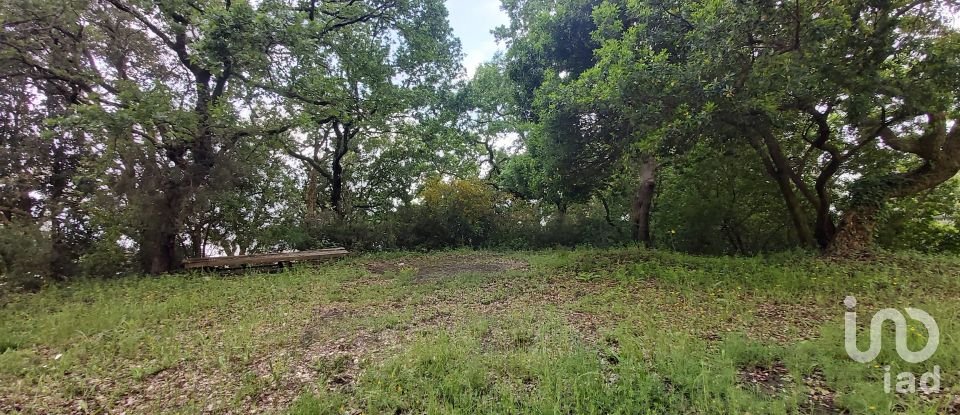 Casale 15 locali di 450 m² in Lamezia Terme (88046)