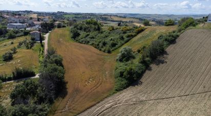 Terreno di 14.000 m² in Filottrano (60024)