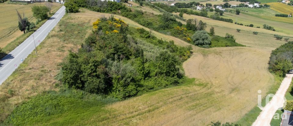 Land of 14,000 m² in Filottrano (60024)