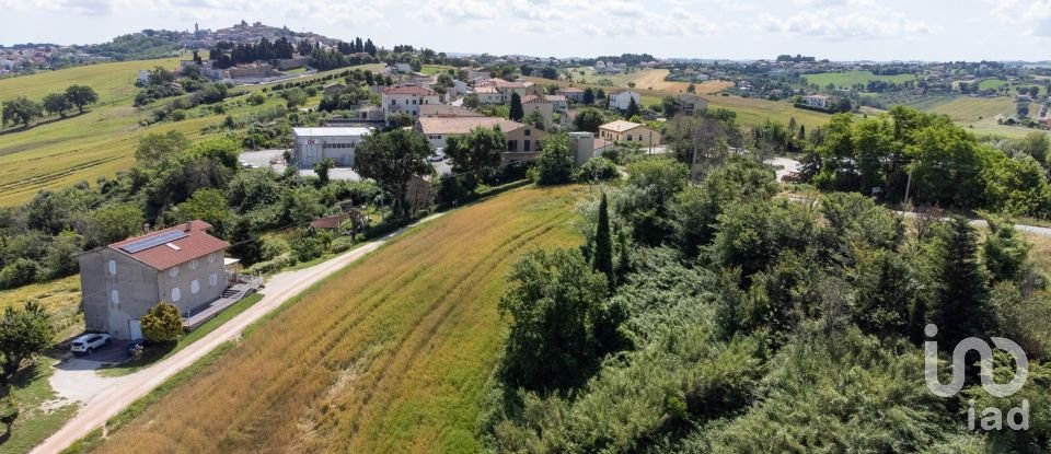 Land of 14,000 m² in Filottrano (60024)