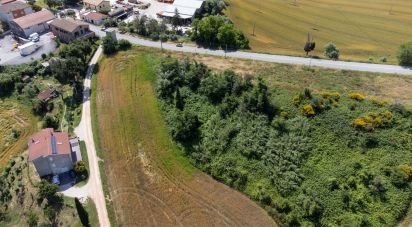 Terreno di 14.000 m² in Filottrano (60024)