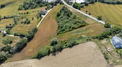 Terreno di 14.000 m² in Filottrano (60024)