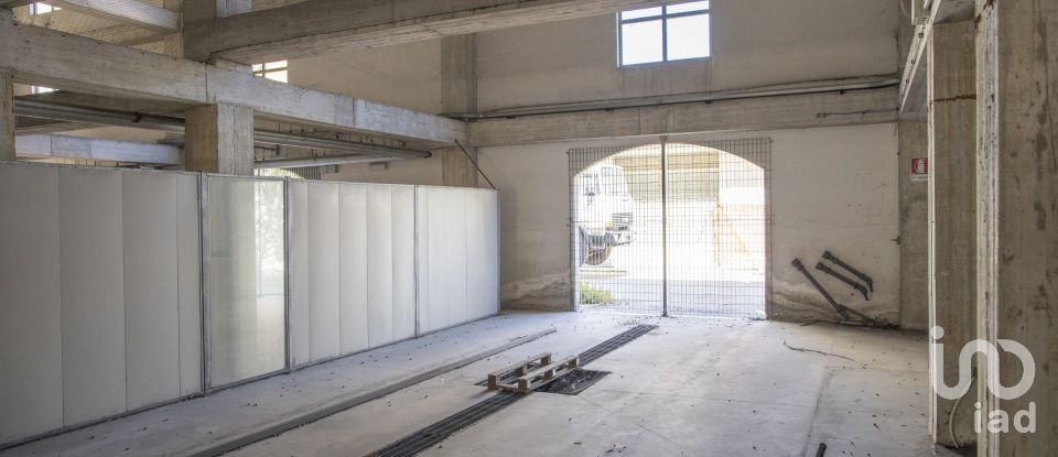 Building of 5,900 m² in Ancona (60131)