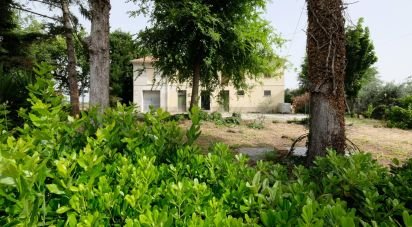 Town house 10 rooms of 243 m² in Ostra Vetere (60010)