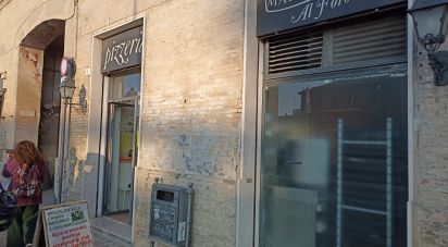 Pizzeria di 70 m² in Senigallia (60019)