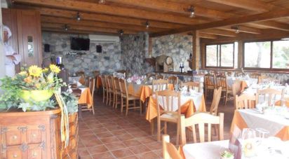 Restaurant of 220 m² in San Lucido (87038)