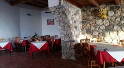 Restaurant of 220 m² in San Lucido (87038)