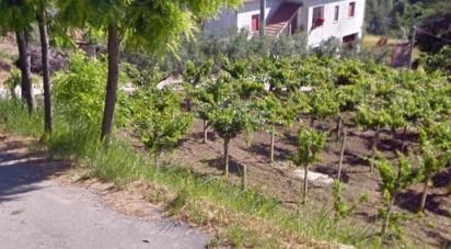 Casa indipendente 11 locali di 545 m² in Notaresco (64024)