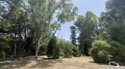 Trullo 16 locali di 270 m² in Ceglie Messapica (72013)