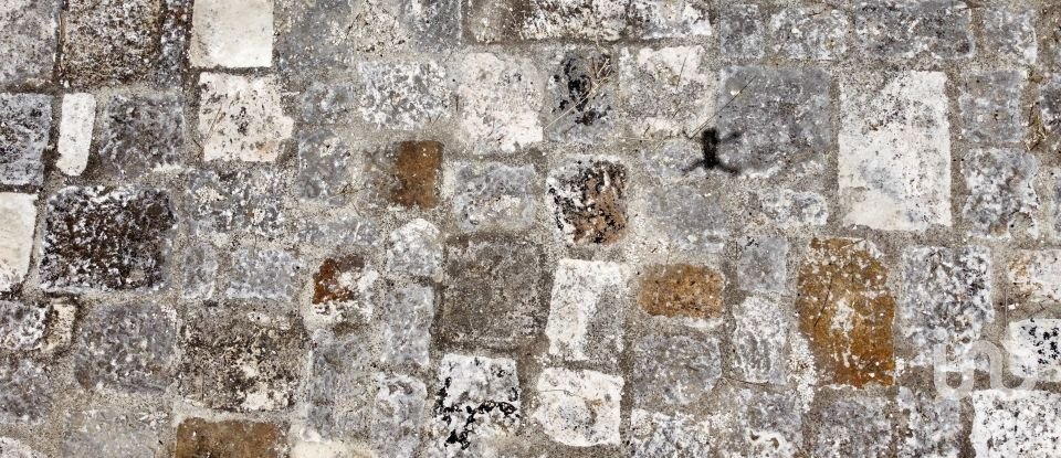 Horses property 16 rooms of 270 m² in Ceglie Messapica (72013)