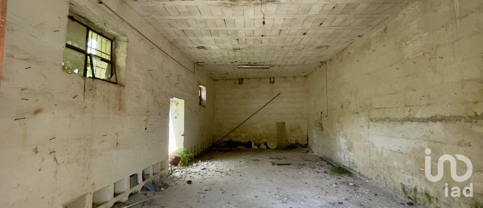 Horses property 16 rooms of 270 m² in Ceglie Messapica (72013)