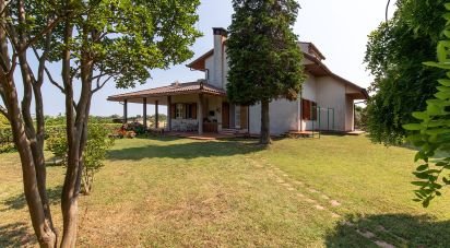 Casale 12 locali di 405 m² in Sant'Elpidio a Mare (63811)