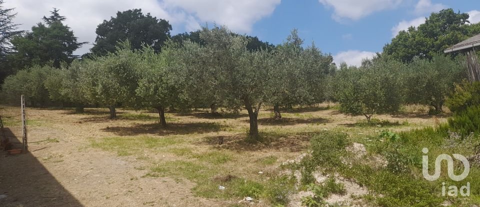 Casa indipendente 11 locali di 545 m² in Notaresco (64024)