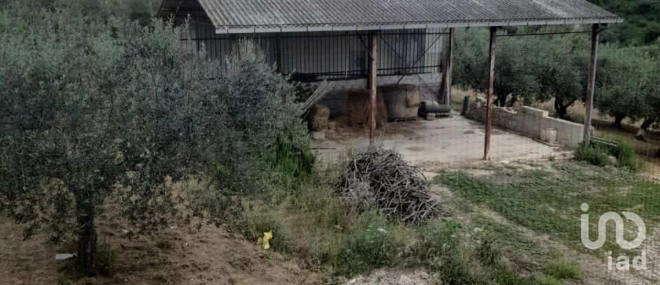 Casa indipendente 11 locali di 545 m² in Notaresco (64024)