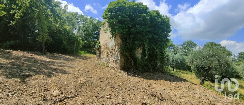 Casale 4 locali di 90 m² in Monteprandone (63076)