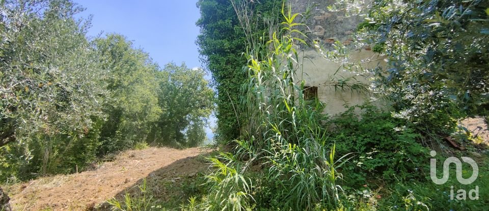 Casale 4 locali di 90 m² in Monteprandone (63076)