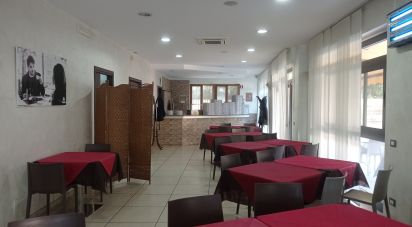 Ristorante di 215 m² in Castrovillari (87012)