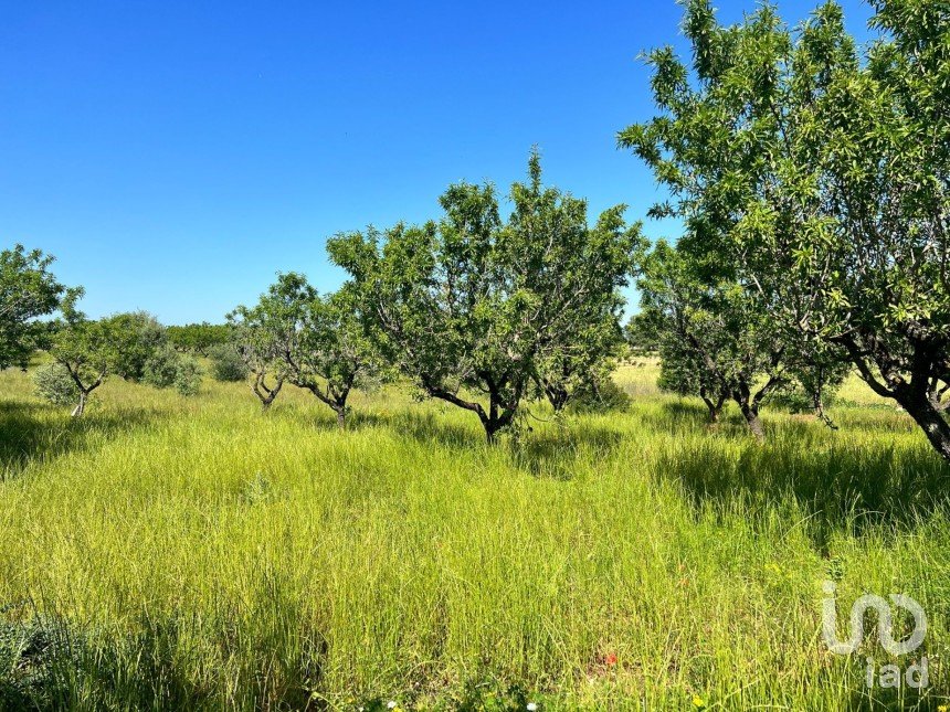 Terreno di 8.851 m² in Ostuni (72017)