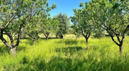 Terreno di 8.851 m² in Ostuni (72017)