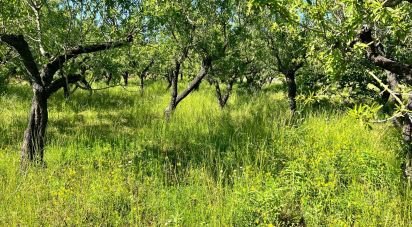 Terreno di 8.851 m² in Ostuni (72017)