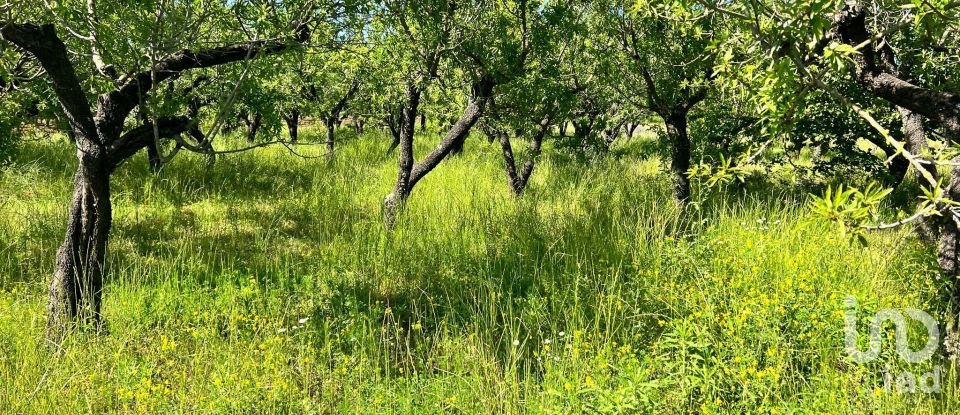 Terreno di 8.851 m² in Ostuni (72017)