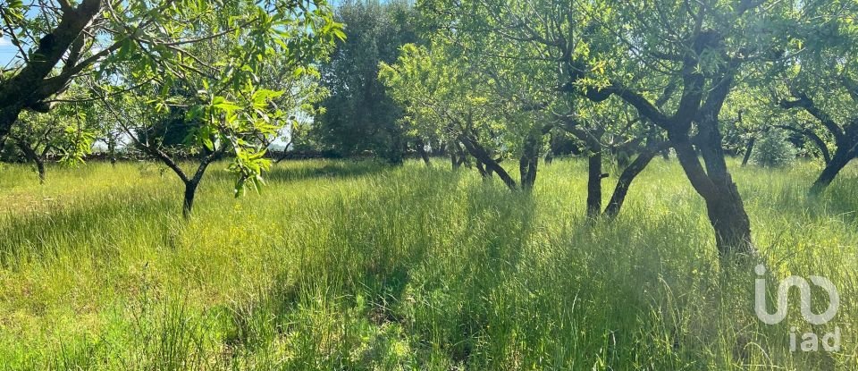 Terreno di 8.851 m² in Ostuni (72017)