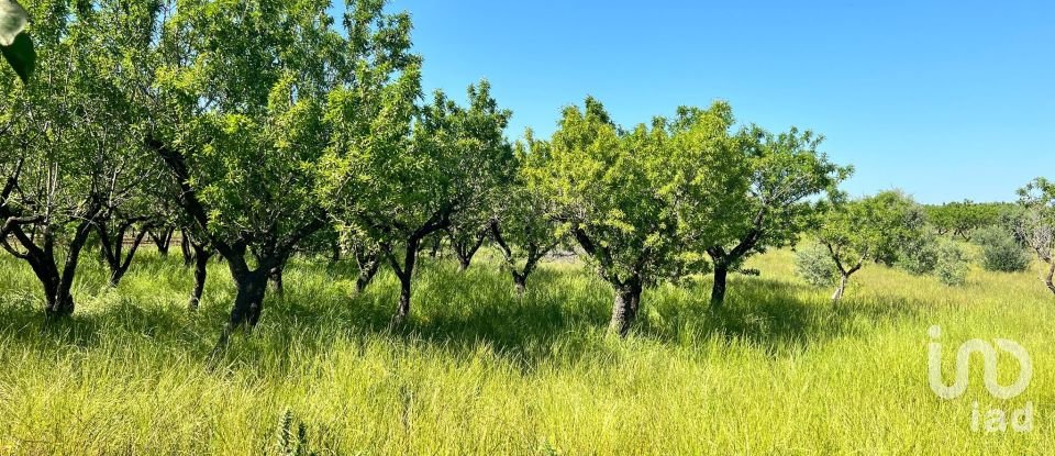 Terreno di 8.851 m² in Ostuni (72017)