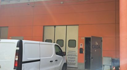 Pareti commerciali di 80 m² in Varazze (17019)