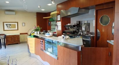 Bar di 187 m² in Falconara Marittima (60015)