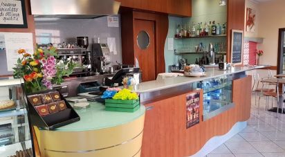 Bar di 187 m² in Falconara Marittima (60015)