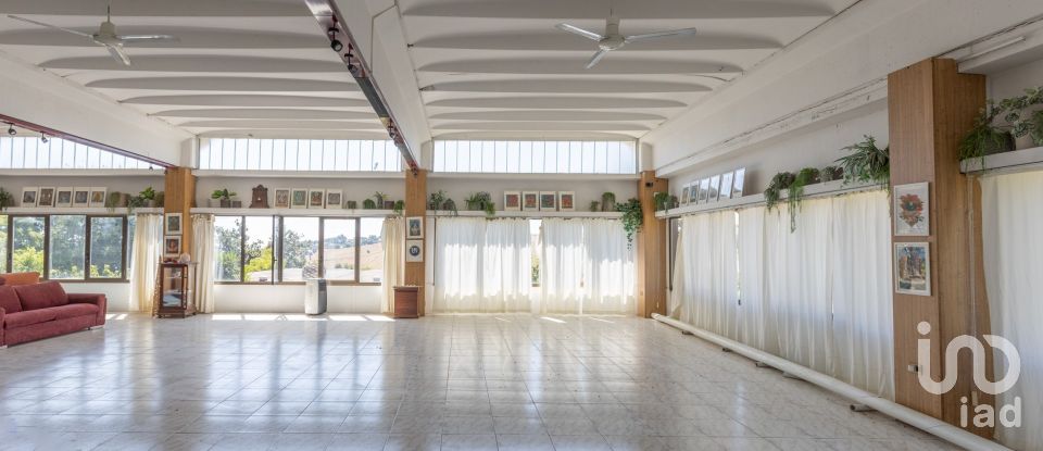 Townhouse 9 rooms of 205 m² in Sirolo (60020)