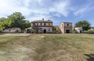 Country house 10 rooms of 251 m² in Osimo (60027)