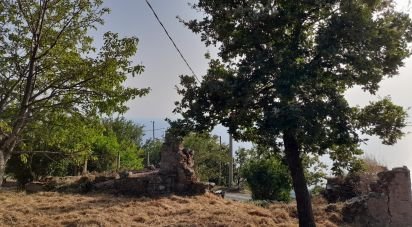 Terreno agricolo di 1.716 m² in - (87030)