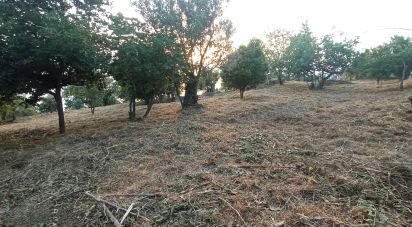 Terreno agricolo di 1.716 m² in - (87030)