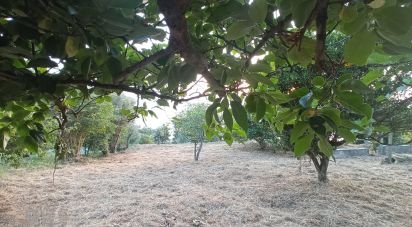 Terreno agricolo di 1.716 m² in - (87030)